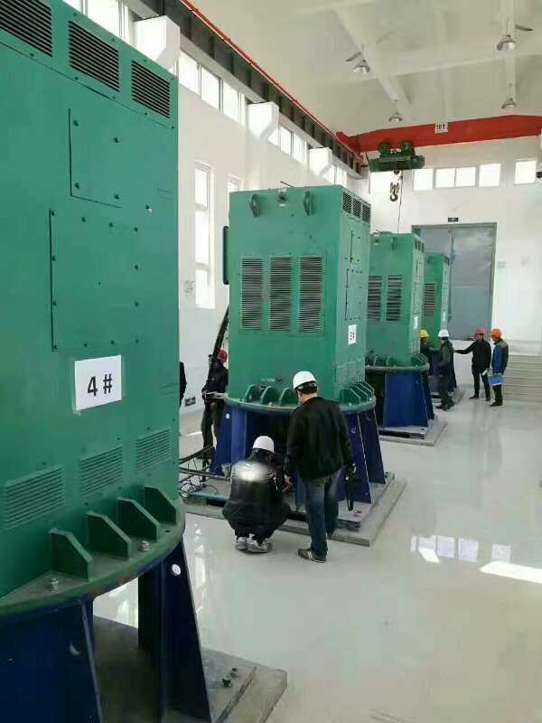 长海某污水处理厂使用我厂的立式高压电机安装现场