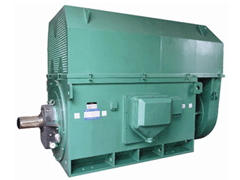 长海Y系列6KV高压电机